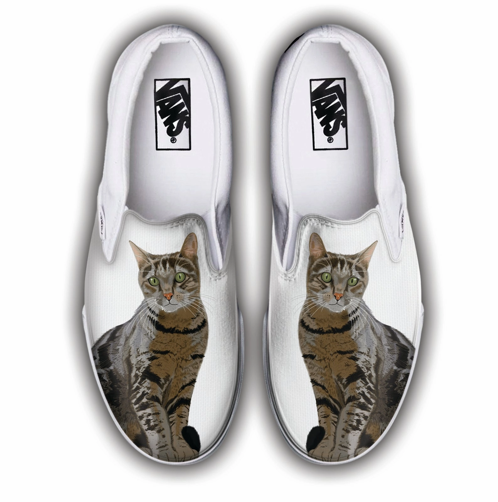 Baggins Original Slip-On Tabby Cat Park Day Night Glow