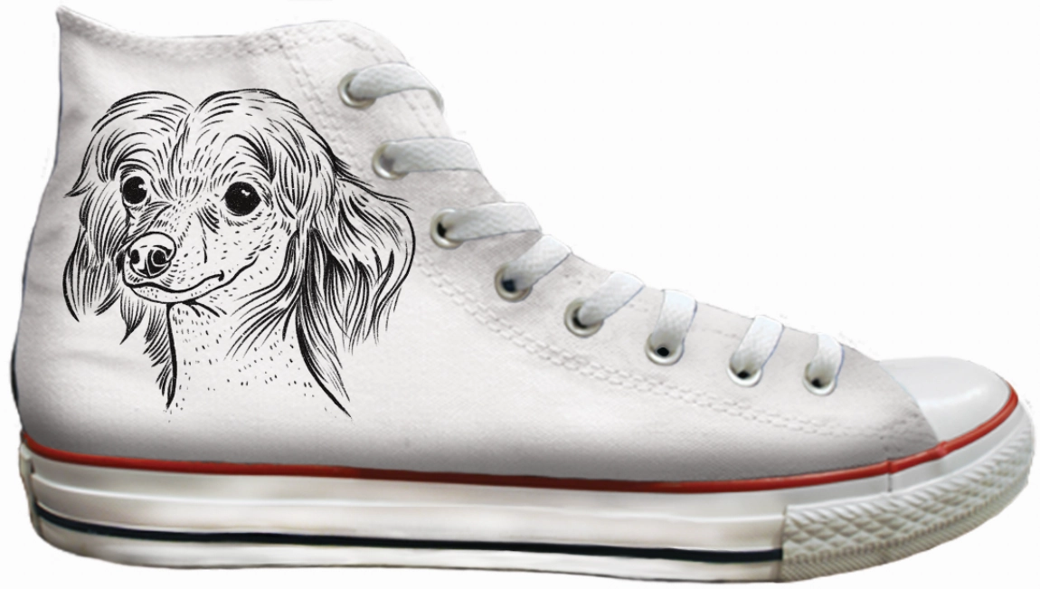 Action Fast Baggins Original Hi top Chinese Crested
