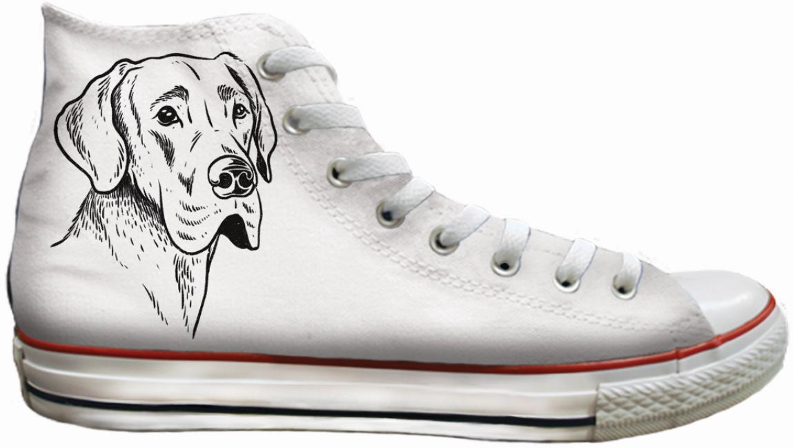 Flexibility Feature Moist Guard Baggins Original Hi top Great Dane