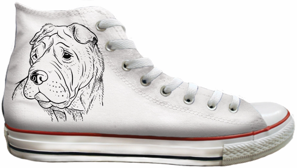 Baggins Original Hi top Sharpei photo shoot