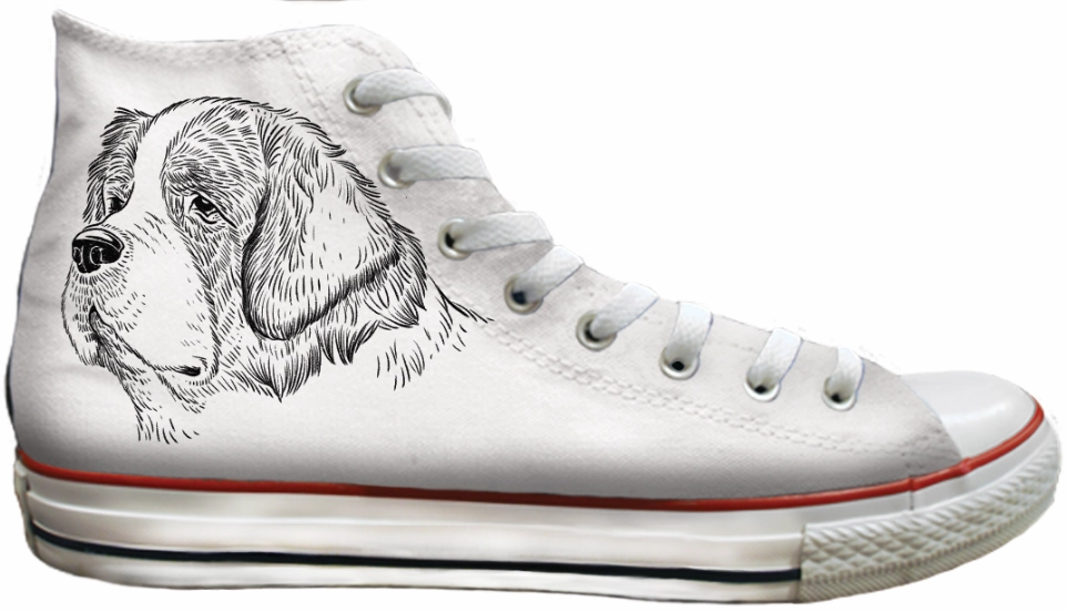 Comfort Curve Yoga Base Baggins Original Hi top St Bernard