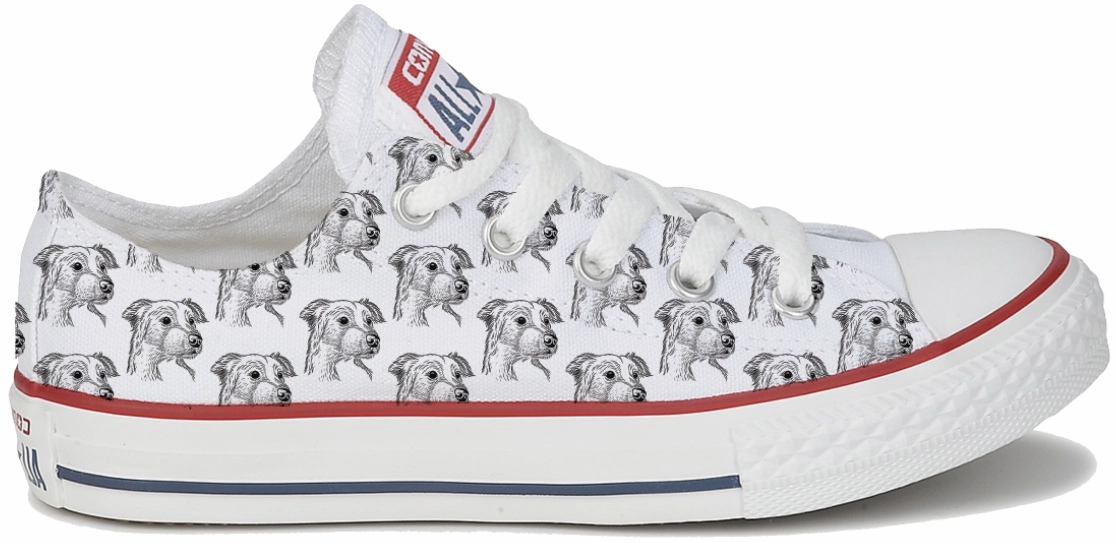 Icon Walk Sport Edge Baggins Original Low top Border Collie