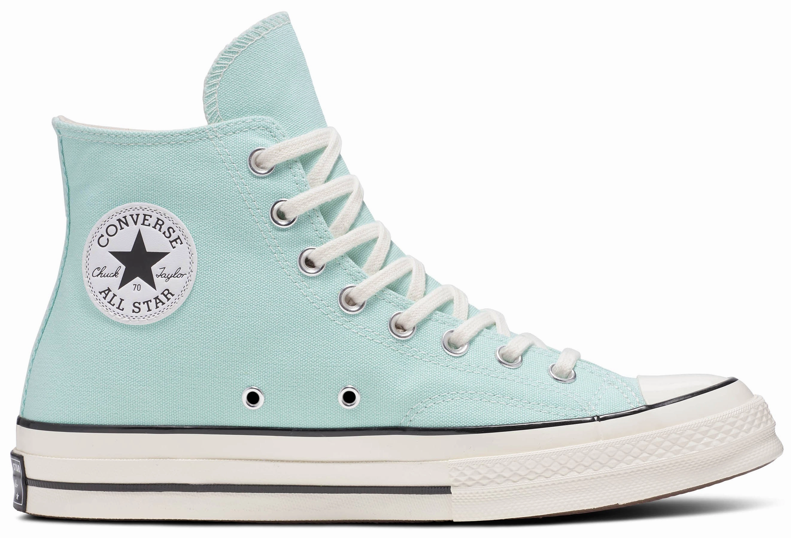 Converse Chuck Taylor All Star 1970s Hi Top Polar Beam/Egret/Black Nature Walk