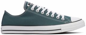 Easy To Clean Converse Chuck Taylor All Star Low Top True Nature