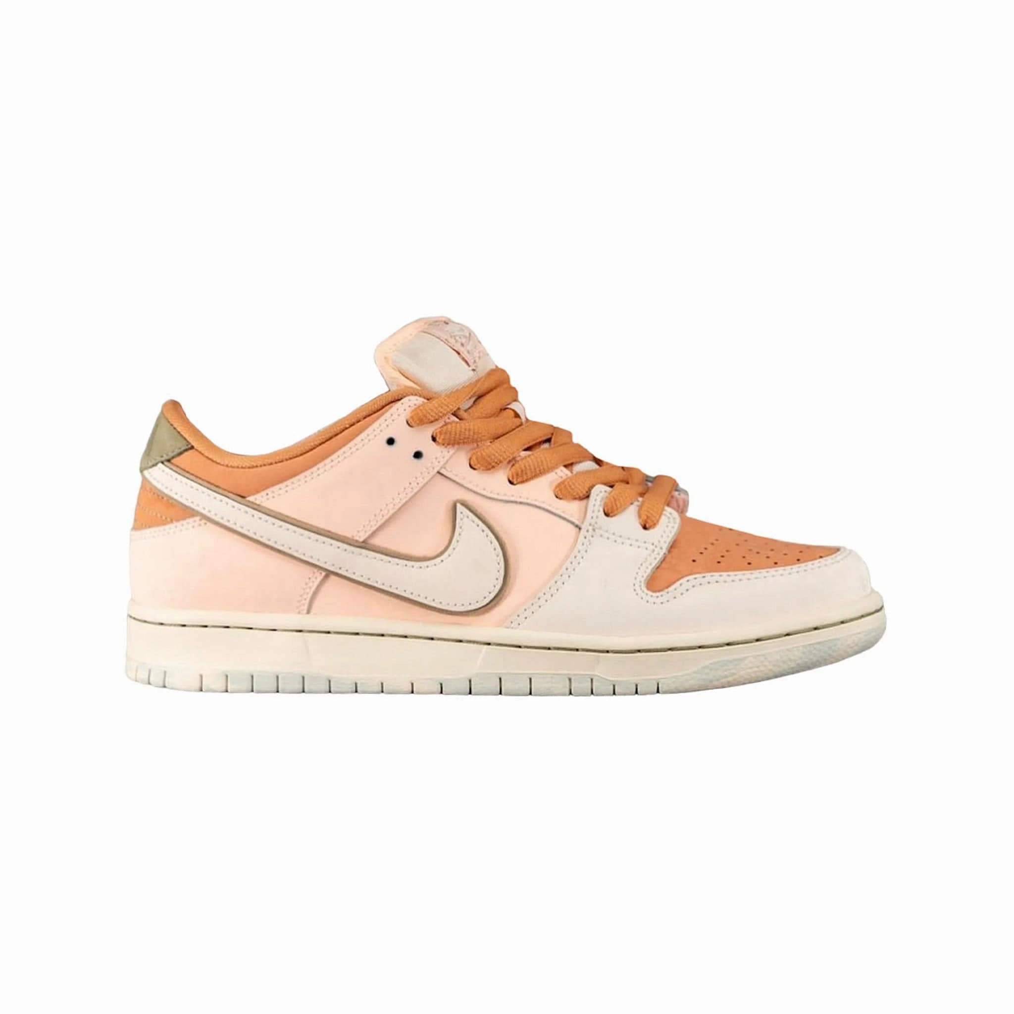Skin Soft Nike SB Dunk Low Trocad??ro Gardens