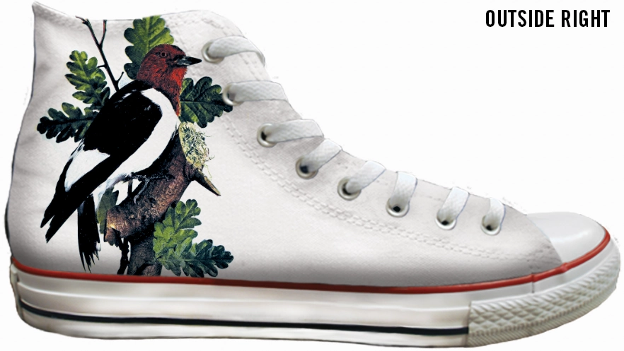 Baggins Original Hi Top Botanical Birds Athletic