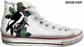 Baggins Original Hi Top Botanical Birds Athletic