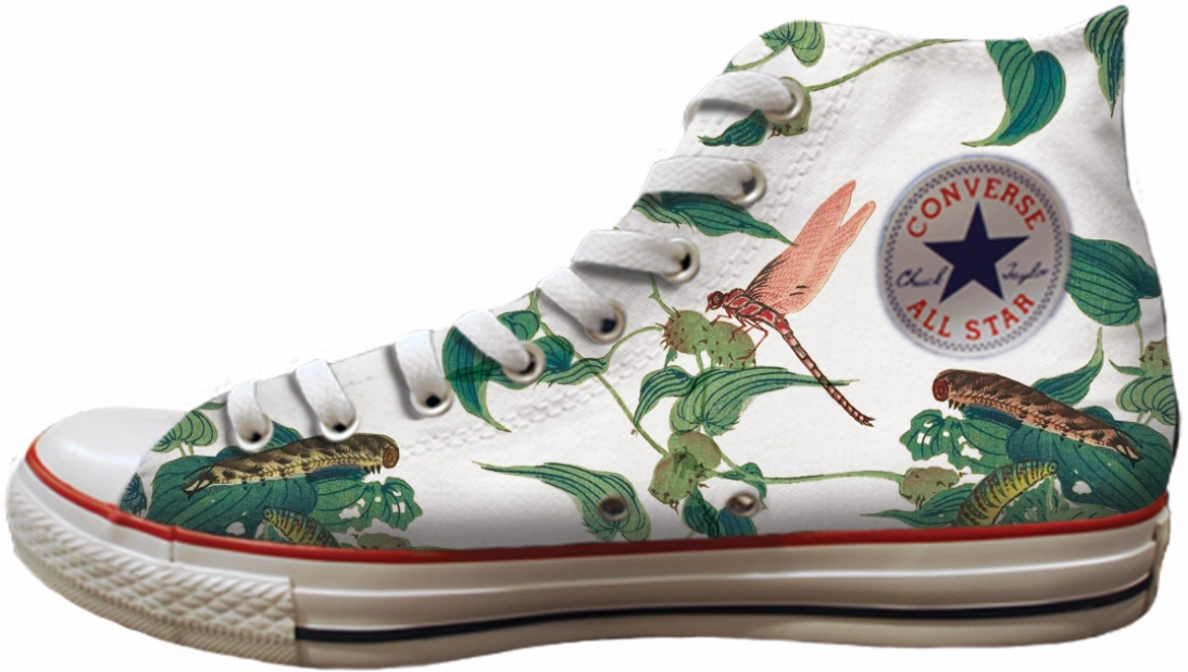 Baggins Original Hi Top Botanical Dragonfly Planet Mood Dance Mode