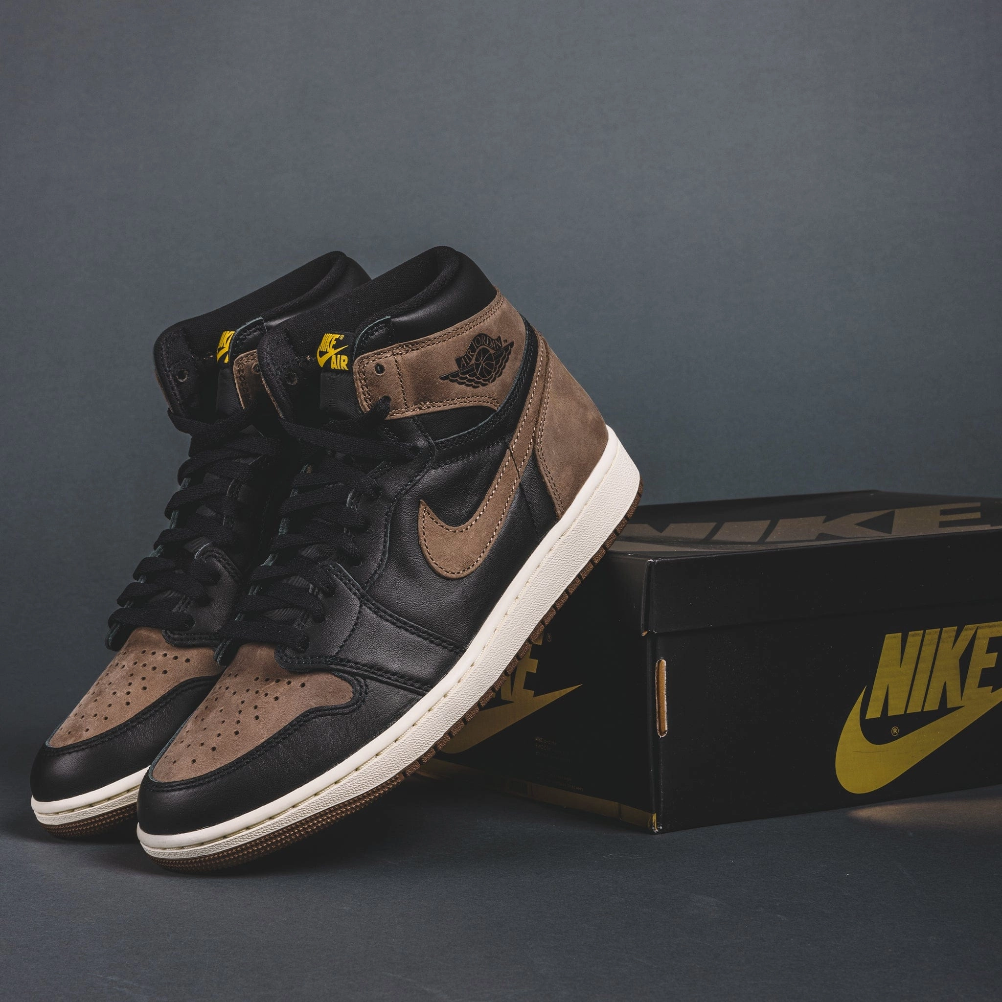 Jordan 1 Retro High OG Palomino Dynamic Arch Bridge