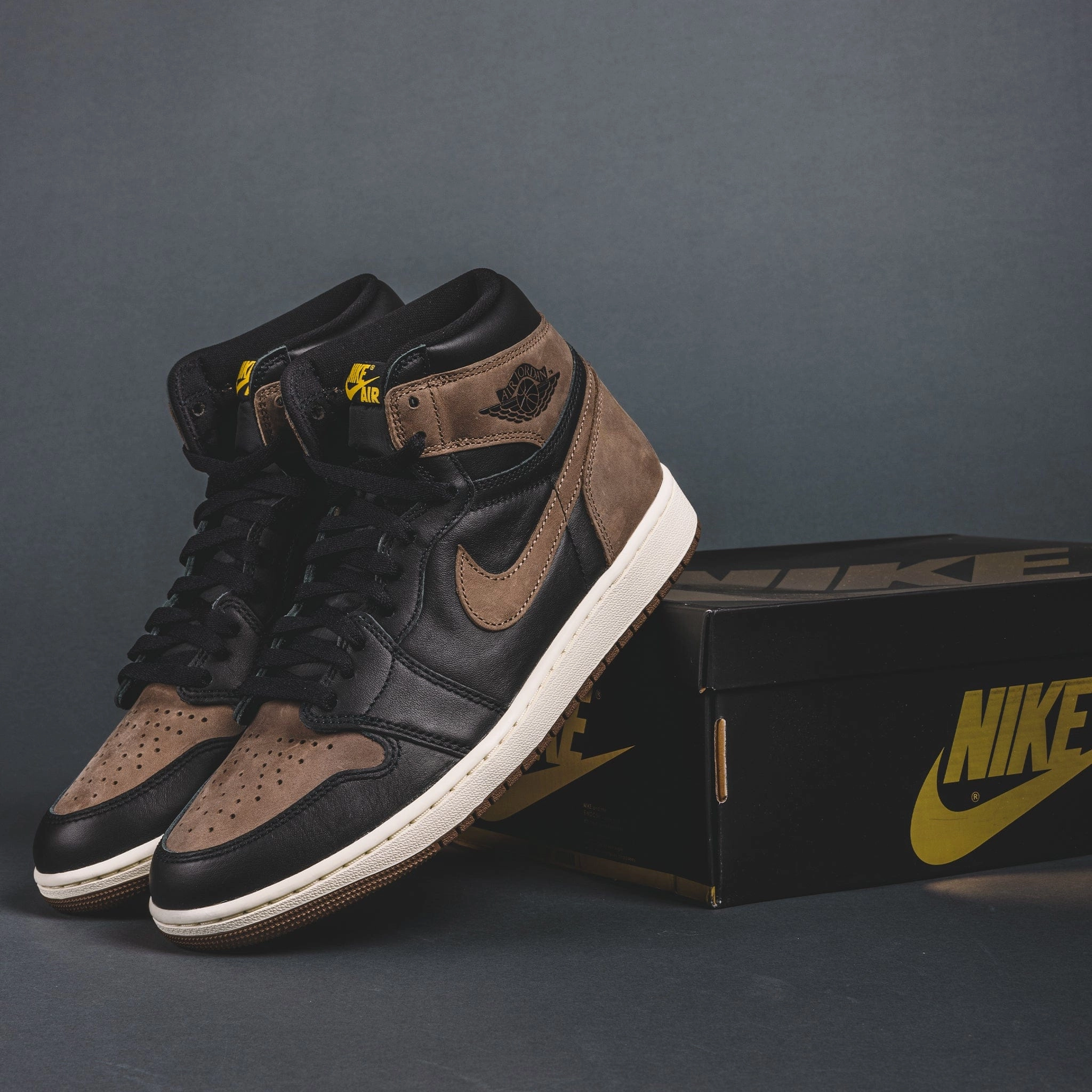 Jordan 1 Retro High OG Palomino Color Play