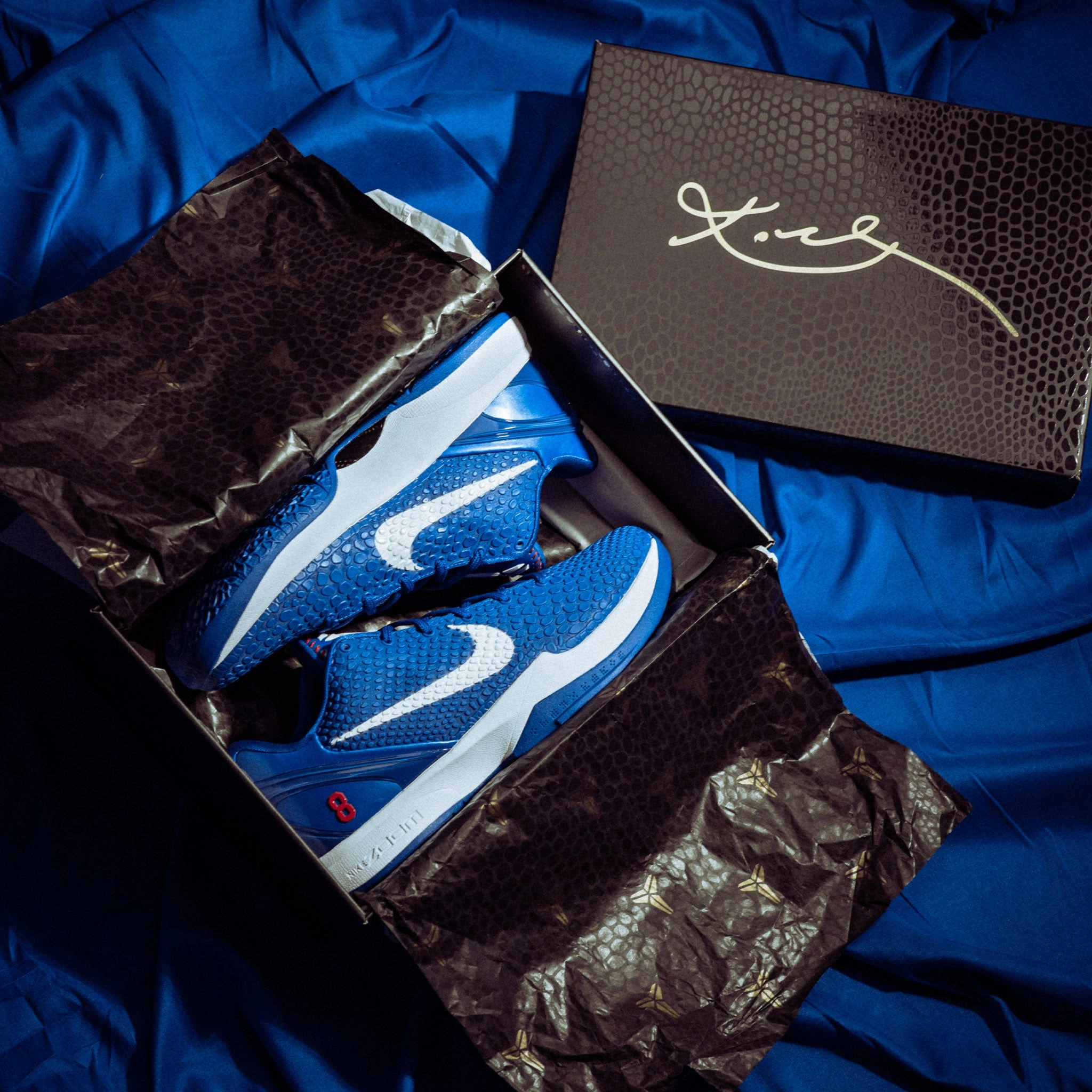 Nike Kobe 6 Protro Dodgers Travel Seismic Reduction