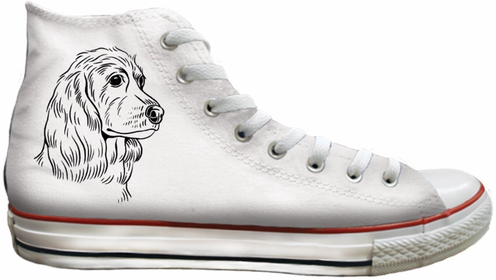 Baggins Original Hi top English Cocker Spaniel Pearl Shine Water Edge
