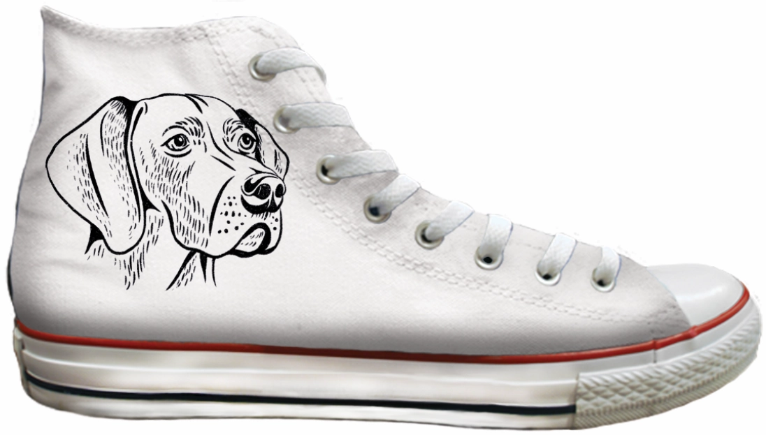 Baggins Original Hi top Wiemaranier Show Stage