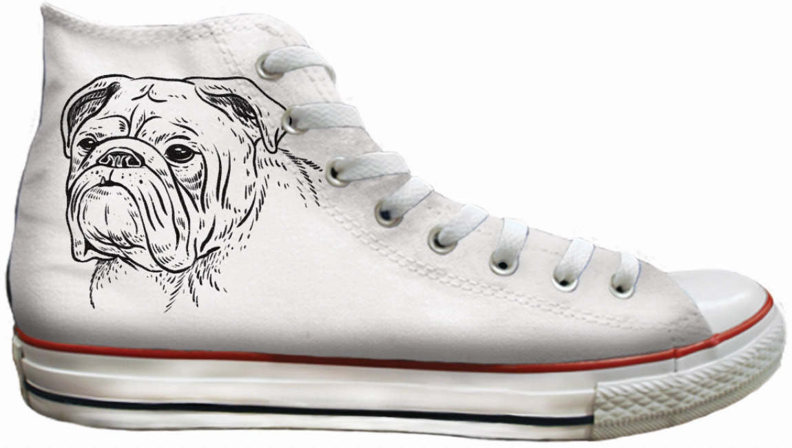 Baggins Original Hi top English Bulldog Sky View Sky Blue