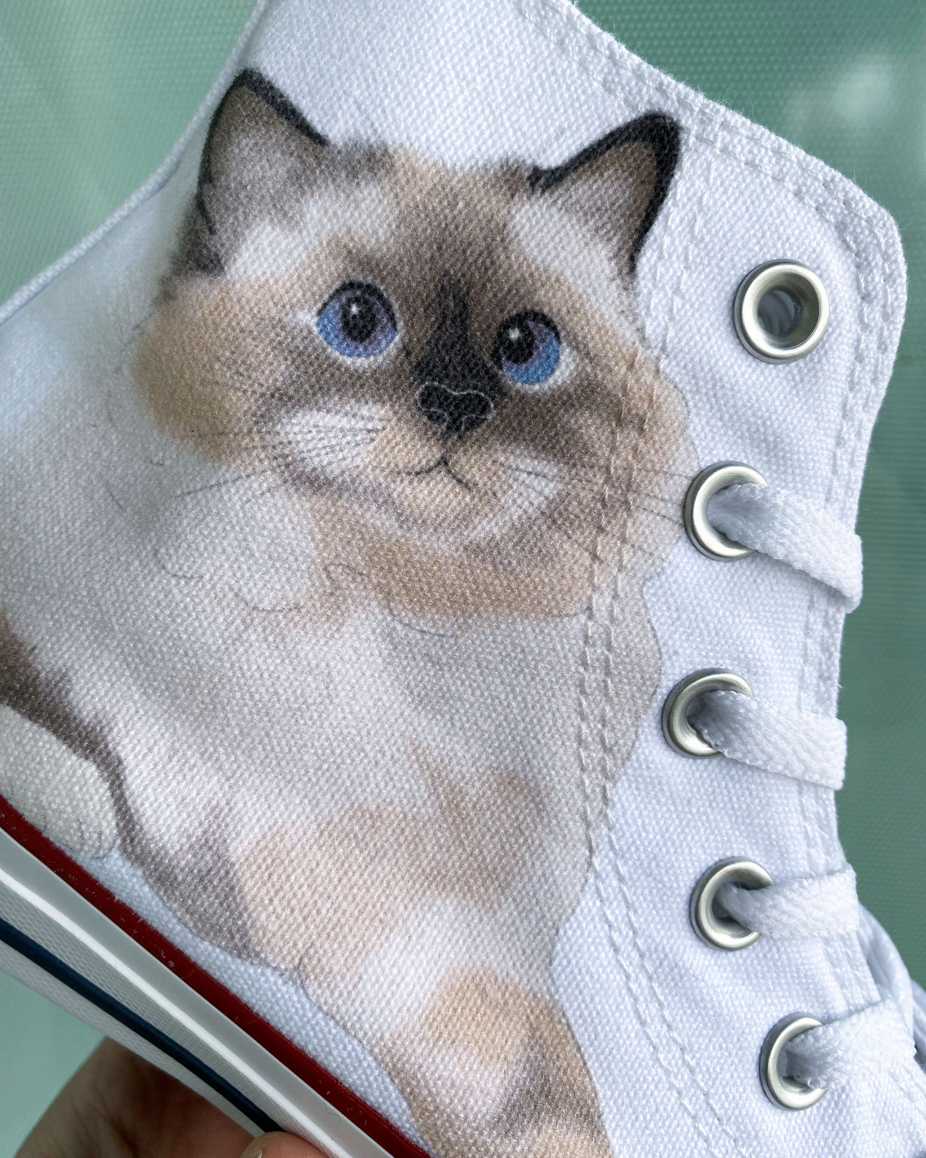 Baggins Original Hi Top Balinese Cat School Day