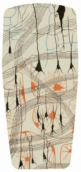 Block Walk Baggins Original Hi Tops Olfactory