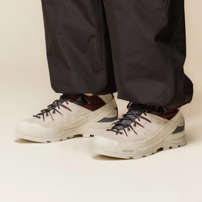 Shock Absorbing Boots Peak Protection Salomon - X-ALP Mid Gore-Tex - Almond Milk / Catawba Grape / Turbulence