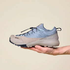 Salomon Advanced - Alpinway Advanced - Sedona Sage / Fallen Rock / Blue Surf Impact Resistance Shine Silver