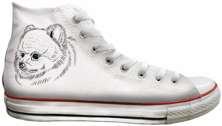 Baggins Original Hi top Pomeranian Angel Glow Street Mood