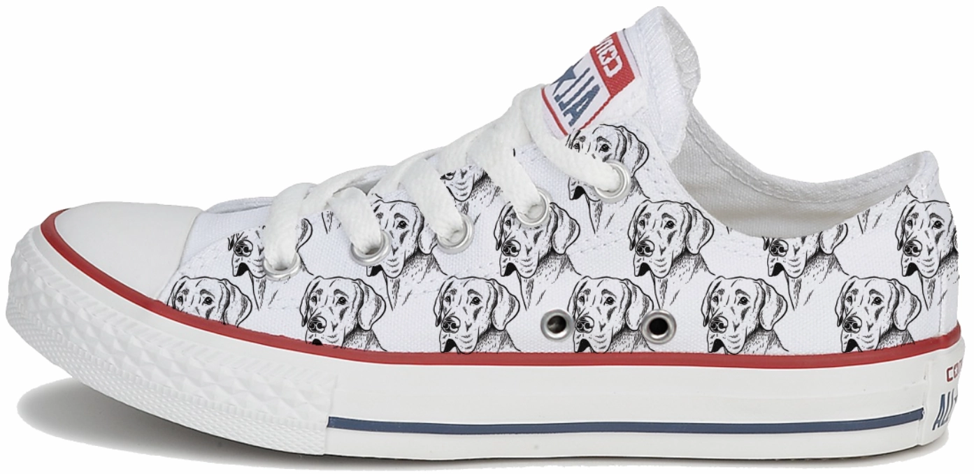 Icon Edge Baggins Original Low top Great Dane